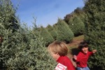 resIMG_20161127_122656_6710.JPG